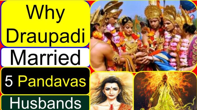 Why Draupadi married 5 Pandavas (men) (husbands) (correct meaning) | Why Draupadi had 5 husbands