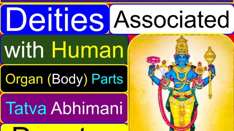 Deities associated with human different (organ) body parts | Tatva Abhimani (Tatvabhimani) Devatas | Deity names who are the guardians of the human body parts