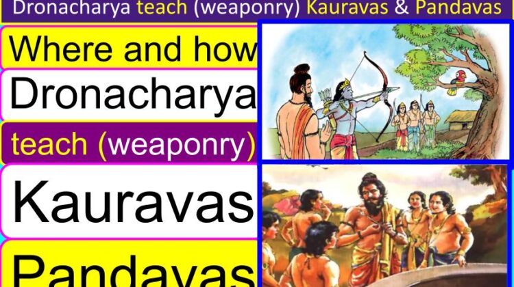 Where and how did Dronacharya teach (weaponry) Kauravas and Pandavas? | What did Drona teach the Kauravas and the Pandavas?