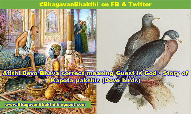 What is Atithi Devo Bhava (Guest is God) meaning | Kapota pakshis (Dove birds) story