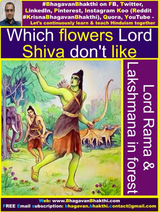 Which Flower Lied To Lord Shiva