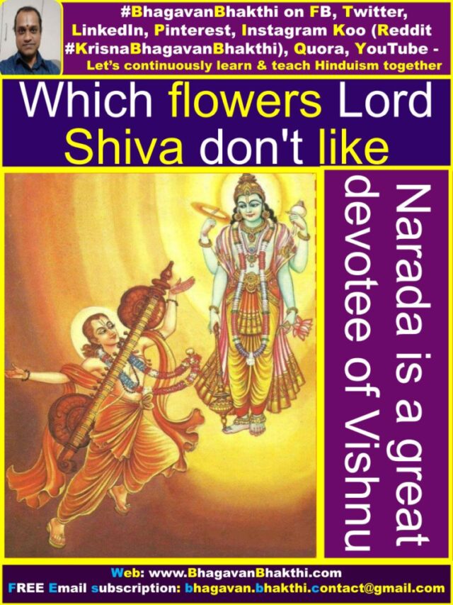 which-flowers-lord-shiva-don-t-like-which-flower-lied-to-lord-shiva