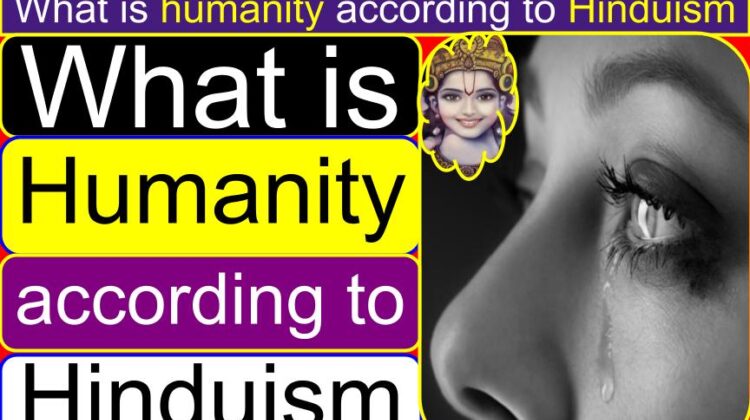 What is humanity according to Hinduism? | What do Hindus think about human life? | What do Hindus believe about humanity and the universe? | How human is valued in Hinduism