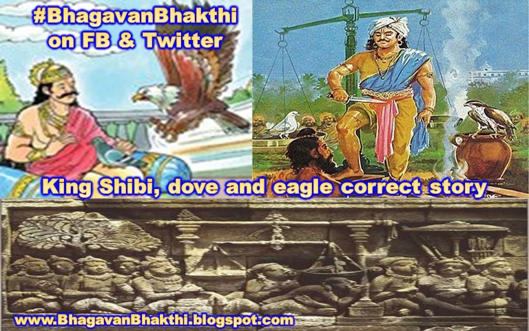 What is King Shibi, dove and eagle (birds) story