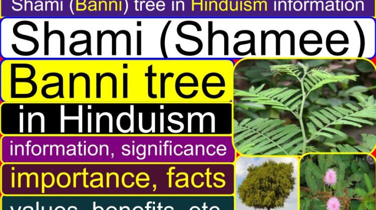 Shami (Banni) tree in Hinduism information, importance, significance, facts, etc. | Is it good to plant Shami tree at home? | Which God resides in Shami tree? | Why Shami is offered to Lord Shiva? | What is the importance of Shami tree in astrology?