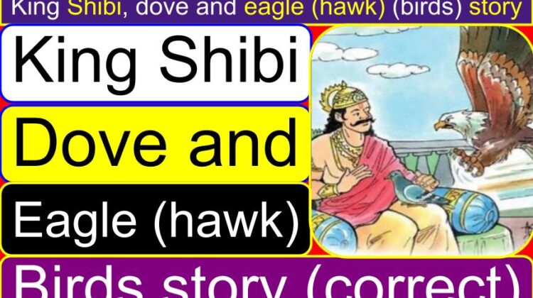 King Shibi, dove and eagle (hawk) (birds) story | How did King Shibi protect dove from the hawk? | Why did the eagle demand the dove from King Shiby?