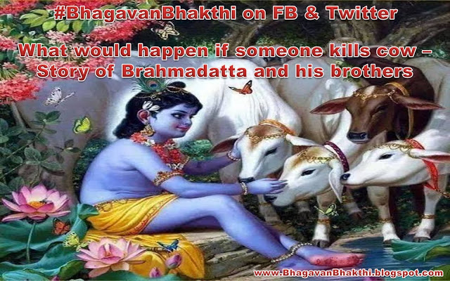 What would happen if someone kills cow in Hinduism (Brahmadatta and his brothers story)
