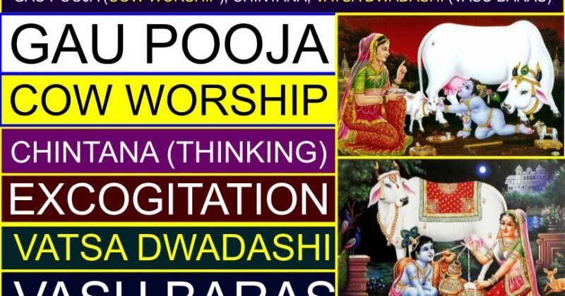 Gau Pooja (Cow worship), Chintana, Vatsa Dwadashi (Vasu Baras) (Thinking / Excogitation) | What is the significance of cow Puja?