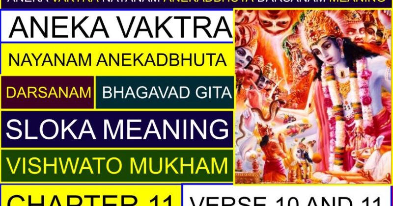 Aneka Vaktra Nayanam Anekadbhuta Darsanam – Bhagavad Gita Sloka meaning (Vishwato Mukham) | Bhagavad Gita Chapter 11, Verse 10 and 11 with Meaning