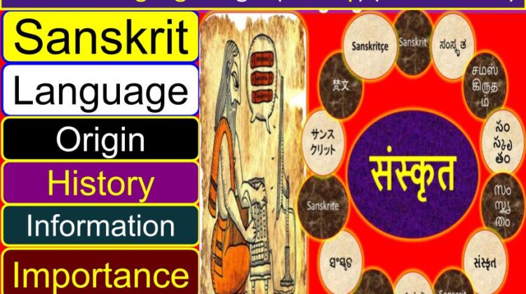 Sanskrit Language ORIGIN (History, Information, Facts, Importance) | Sanskrit origin country | Vedic Sanskrit