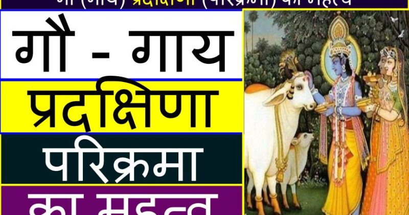 गौ (गाय) प्रदक्षिणा (परिक्रमा) का महत्व | Gau (Cow) Pradakshina (Parikrama) ka mahatva in Hindi