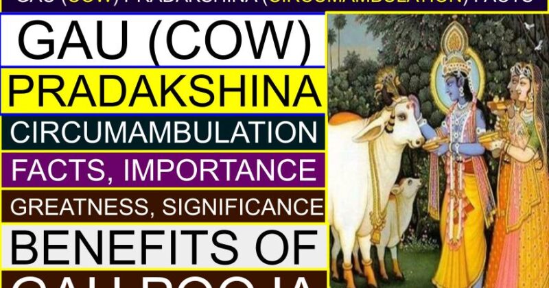Gau (Cow) PRADAKSHINA (circumambulation) Facts, Importance, greatness | What are the benefits of Gau Pooja?