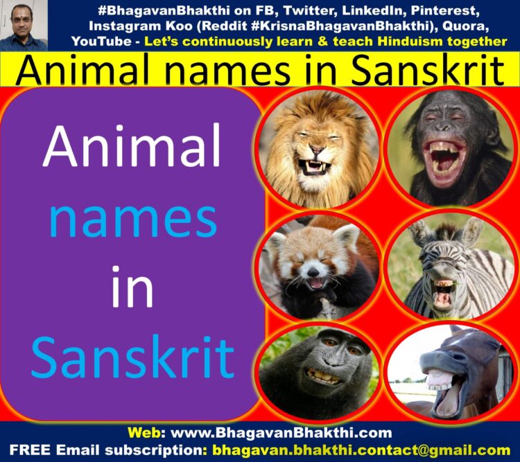 Animal names in Sanskrit (with synonyms) (In Sanskrit, Kannada, English  scripts) - Bhagavan Bhakthi (Hinduism)