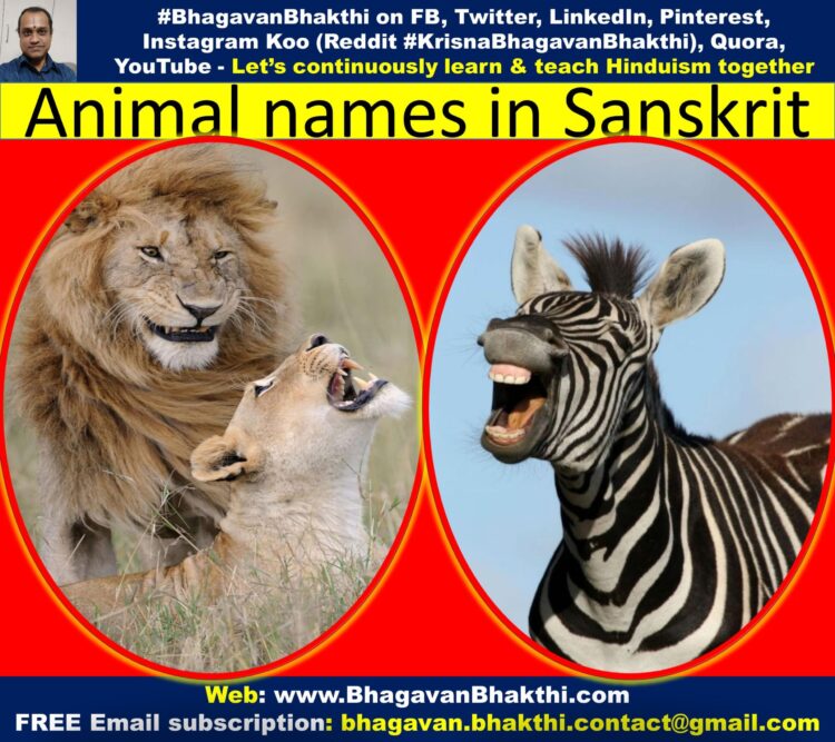 Animal names in Sanskrit (with synonyms) (In Sanskrit, Kannada, English  scripts) - Bhagavan Bhakthi (Hinduism)